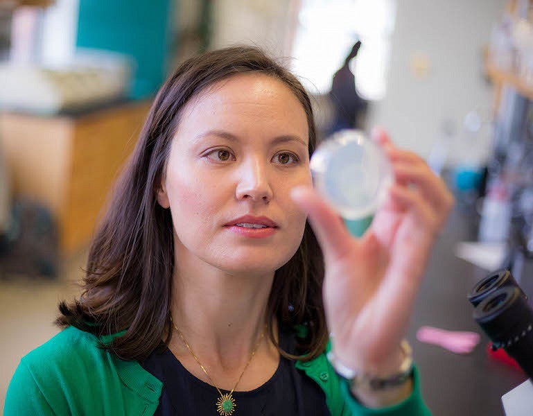 Diana Libuda looks at a glass dish 