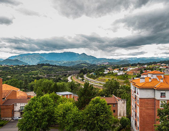 Spanish Immersion in Oviedo