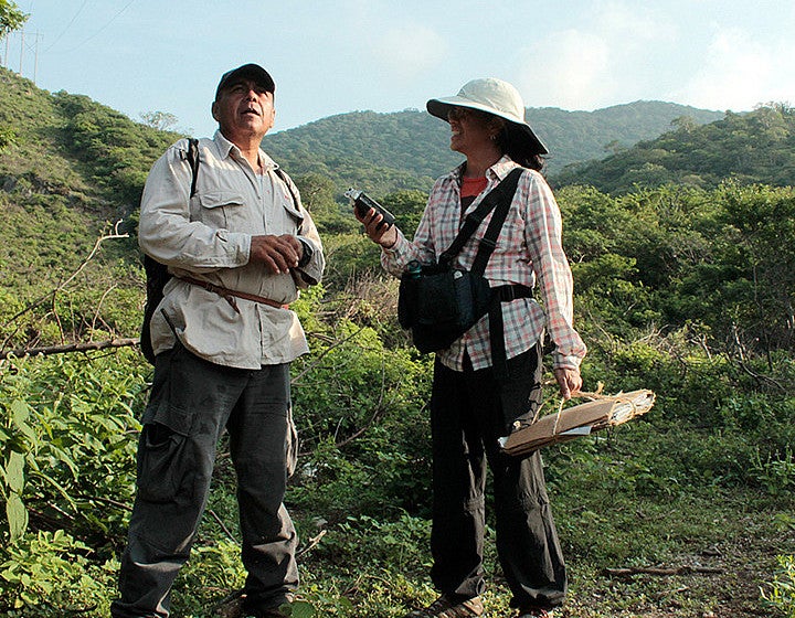 Researchers standing in jungle