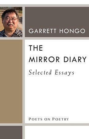 Book cover: The Mirror Diary