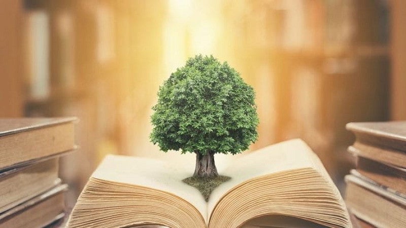 Tree in the open book