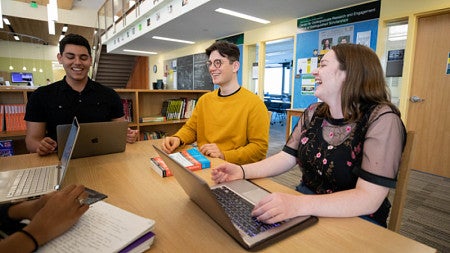 Students studying in the library 