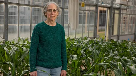 Alice Barkan surrounded by plants in a greenhouse