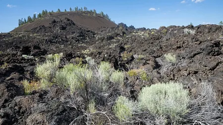 a hillside of volcanic rocks in the Pacific Northwest