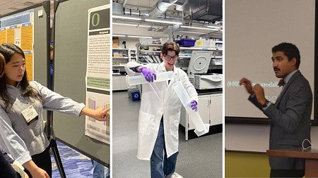 collage of three people