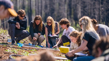 students conducting field research for majors in the college of arts and sciences