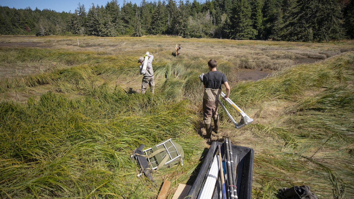 people with fieldwork equipment in estuary