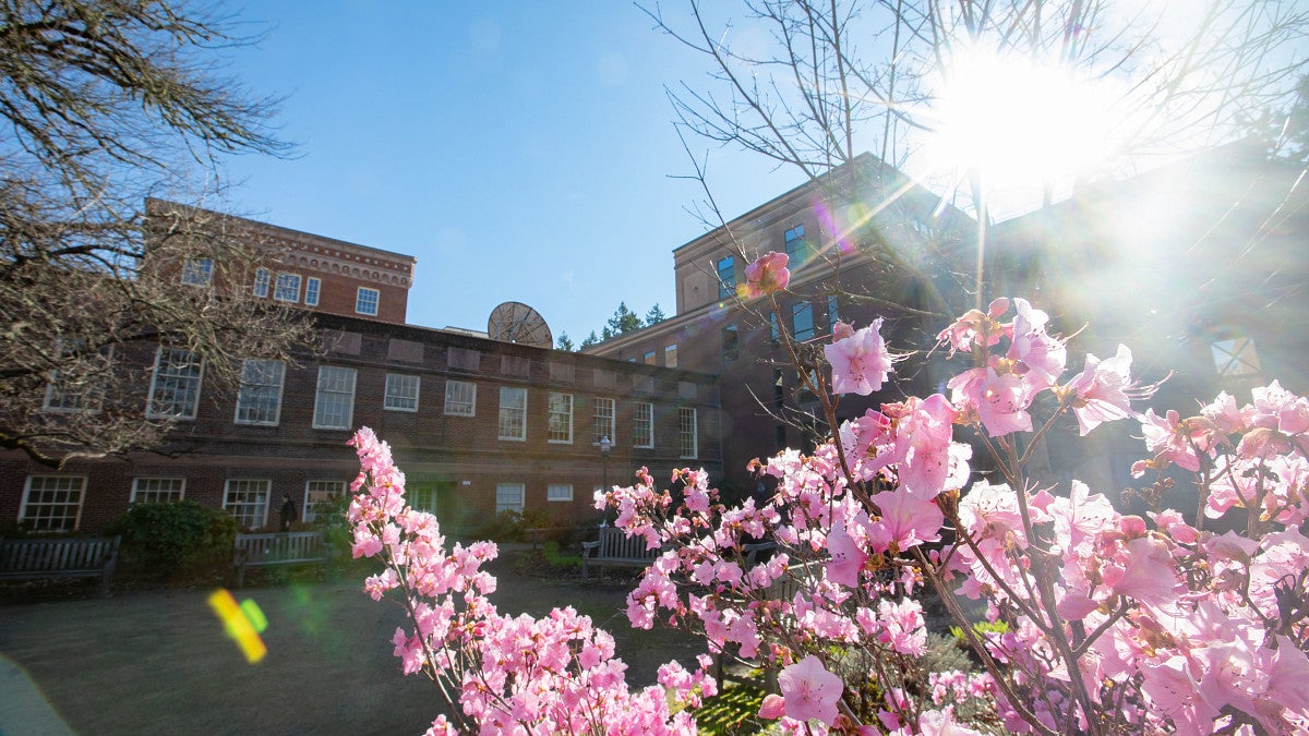 exterior of campus buildings with blooming azalea bush in foreground