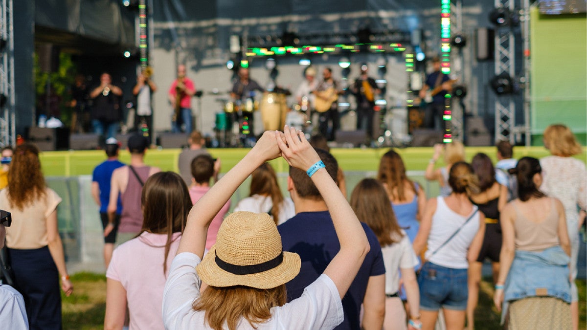 People at concert