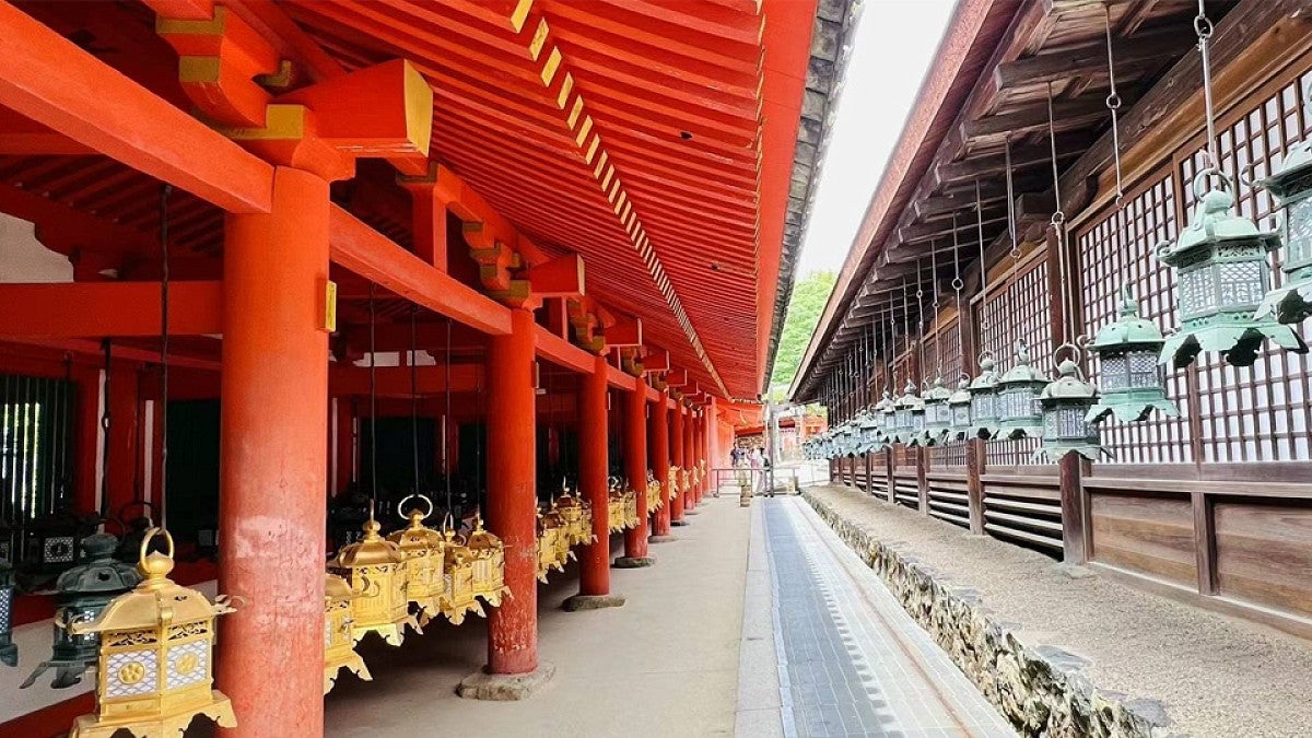 Temple with rows of lanterns hanging from ceiling