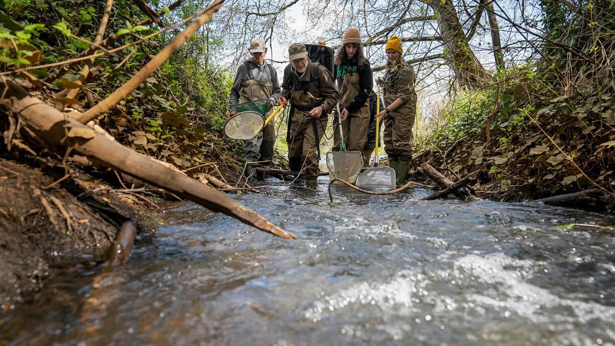 students in a river using nets