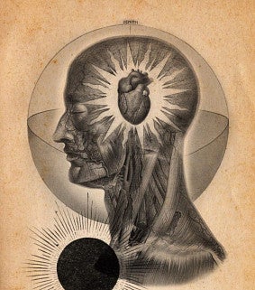 Exanimo journal cover