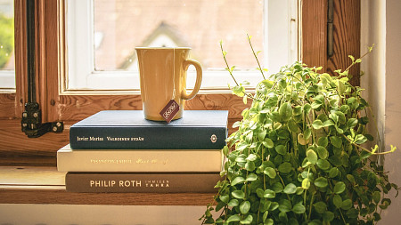 posed photo with tea cup on top of stack of books in windowsill